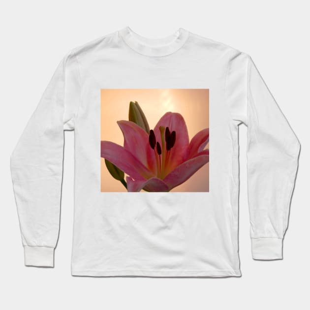 Lily on Orange, studio Pink  Flower close up Long Sleeve T-Shirt by JonDelorme